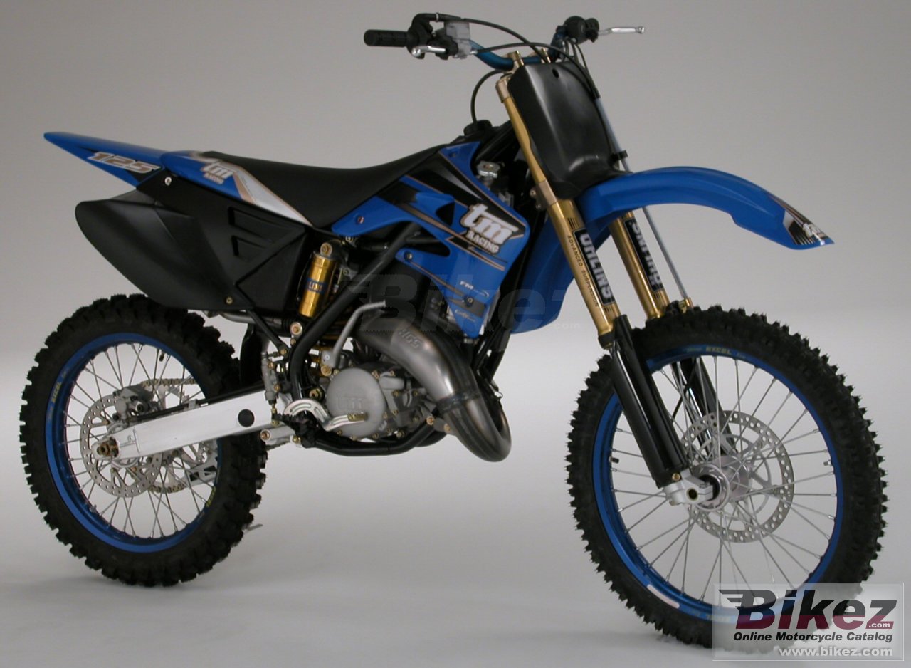 Big TM racing mx 125 cross picture and wallpaper from Bikez.com